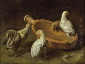 Zwei Huhner Und Drei Kuken by Jacob van der (Giacomo da Castello) Kerckhoven