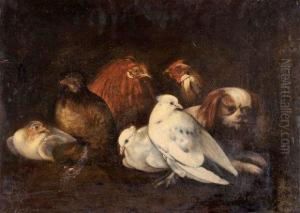Pigeons, Coq Et Poules Veilles Par Un Chien by Jacob van der (Giacomo da Castello) Kerckhoven