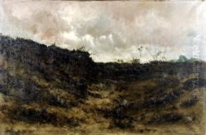 Dune Et Bruyere