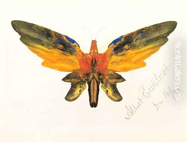 Butterfly 2 - view 1