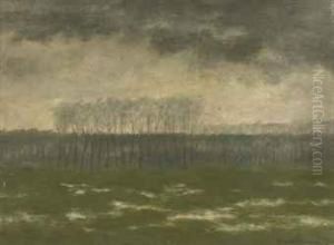 Overstroomde Meersen: High Water At The Meersen Near River Theleie by Albijn Van Den Abeele