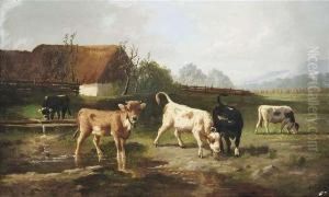 Young Cattle Ona Sumery Pasture. by Simon Van Den Berg