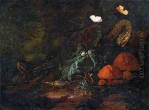 Natura Morta Nel Bosco Con Lumaca