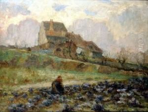 [ Les Choux Rouges.] by Willem Van Den Bruel