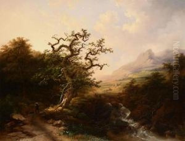 Rocky Landscape - view 1