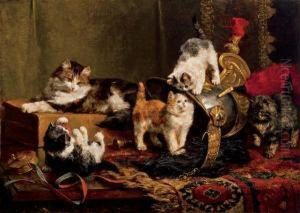 Playful Kittens
