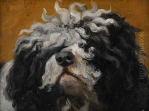 Tete De Chien