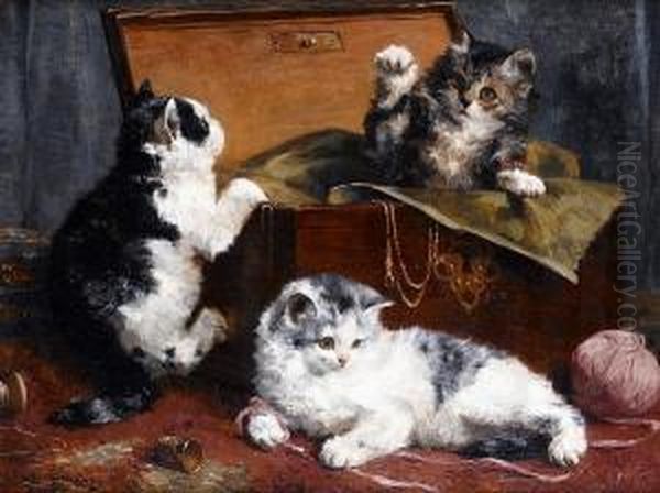 Kittens At Play - view 1