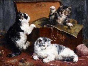 Kittens At Play
