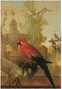 A Macaw And A Dove In An Ornamental Garden A Macaw And A Dove In An Ornamental Garden