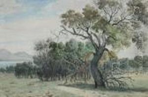 From The Werribee With The You Yangs In Background by Henricus Leonardus Van Den Houten