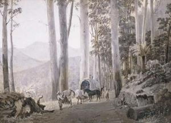 Near Macedon, Victoria & Camping Out At Fernshaw Near Warragul,victoria - view 1