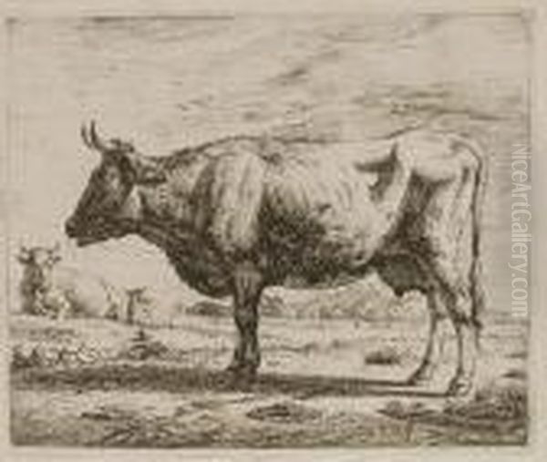 Cows - view 1