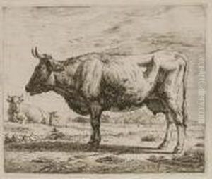 Cows Cows