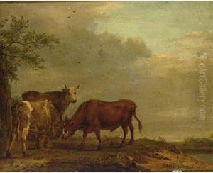 Fighting Bulls In A Landscape