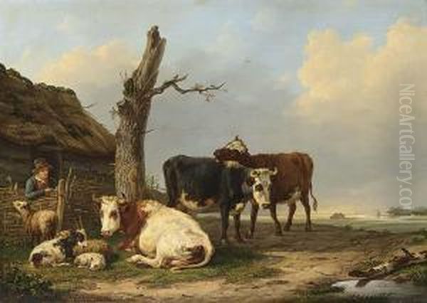 Cattle - view 1