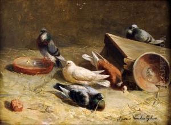 [les Pigeons] - view 1