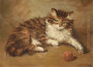 A Cat Playing With Wool