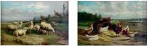 A La Ferme : Poules, Poussins, Moutons, Poules Aux Champs A La Ferme : Poules, Poussins, Moutons, Poules Aux Champs