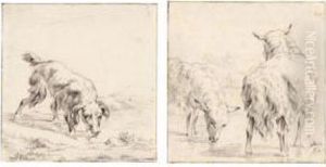 A Pair Of Studies Of Drinking Animals: A Dog, And Two Sheep by Jan van der Meer