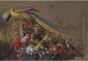 Still Life With An Overturned Basket On A Partly Draped Table, With Grapes, Plums, Oranges, Various Flowers, A Parrot And A Parakeet by Jacob Fransz van der Merck