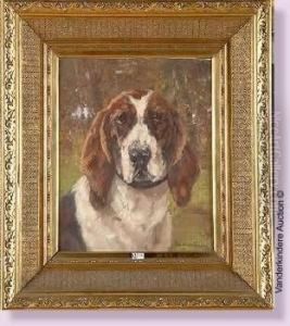 Portrait De Chien