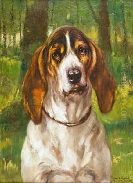 Basset Hound In A Forest - view 1