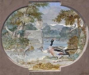 Water Birds by Sieuwert Van Der Meulen