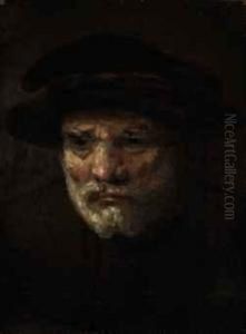 The Head Of A Bearded Man by Karel van der Pluym