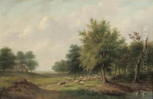 Herding The Sheep - view 1