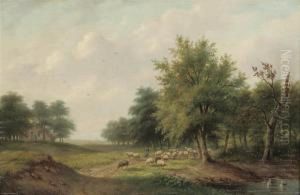 Herding The Sheep