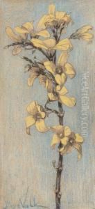 A Forsythia Branch