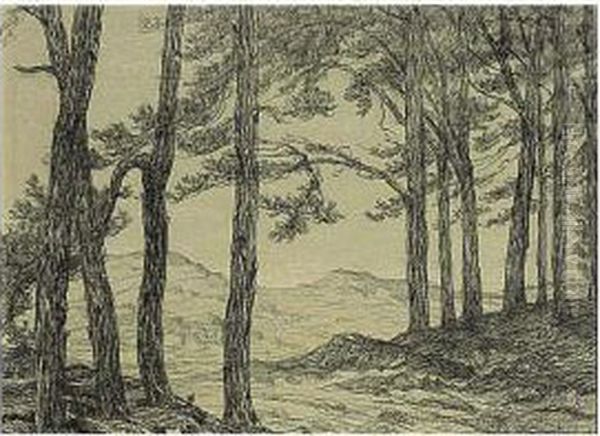 A Forest Landscape - view 1