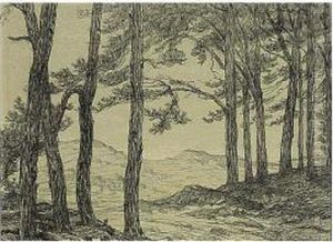 A Forest Landscape by Maurits Van Der Valk