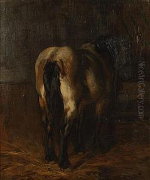 Paard In De Stal. - view 1