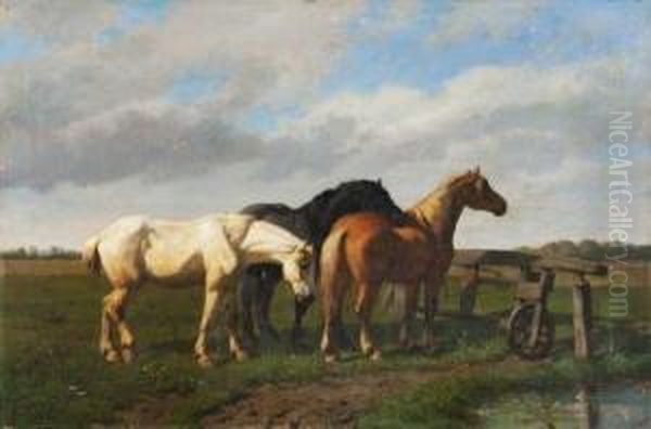 Chevaux. - view 1