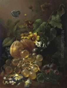 White And Black Grapes And Other Fruit, With Forget-me-nots, Violets And Various Other Flowers And Insects by Jan Van Der Waarden