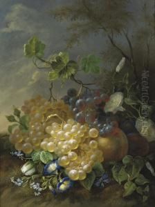 Grapes And Morning Glory by Jan Van Der Waarden