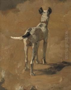 Studie Van Een Hond by Nicolaas Van Der Waay