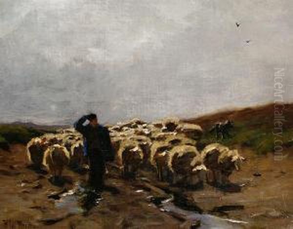 Shepherd And Flock - view 1