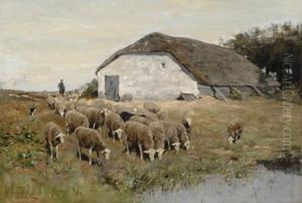 Shepherd With Flock Of Sheep - view 1