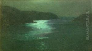 Moonlit Coast by Harry van der Weyden