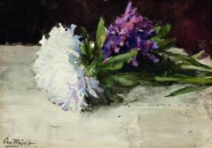 Witte En Lila Chrysanten by Chris Van Der Windt