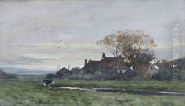 A Cow Near A Farm At Sunset - view 1