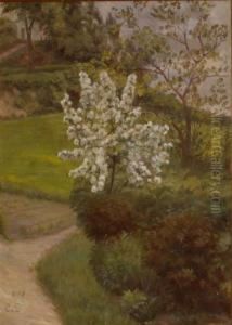Blossoming Tree by Caroline Van Deurs