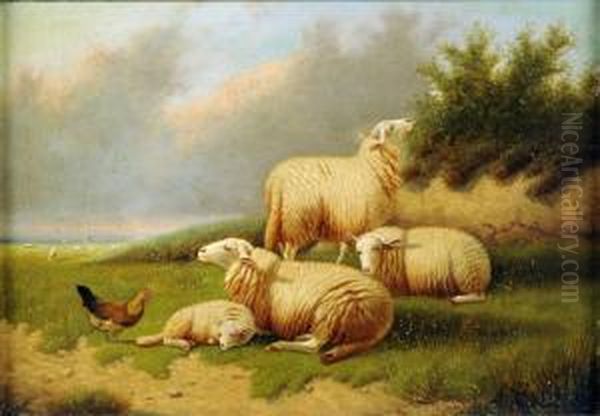 Les Moutons - view 1