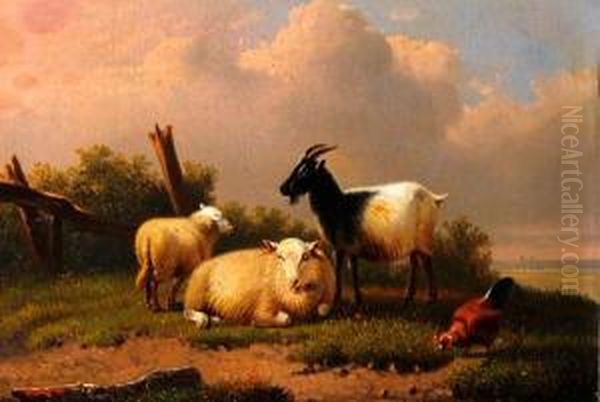 Goat, Sheep And Chicken Seated On A Grassy Path - view 1