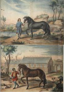 Horse Studies by Abraham Jansz. van Diepenbeeck