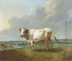 Weisse Kuh Auf Erhohter Weide. by Dyonis Van Dongen