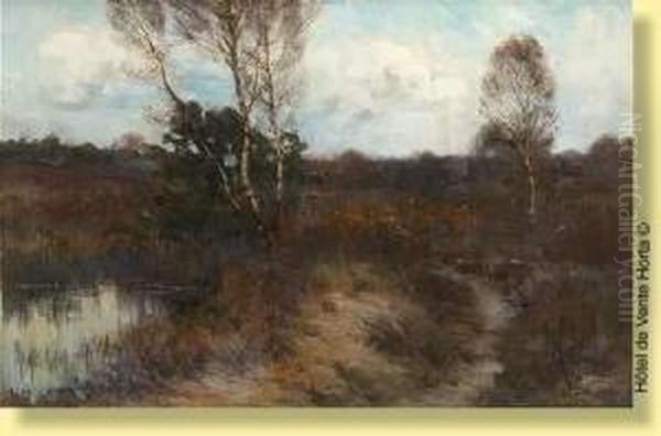 Vue D'etang En Campine - view 1